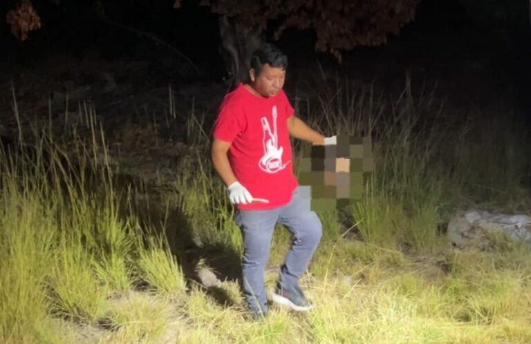 Cabeça humana é encontrada no Alto do Mateus