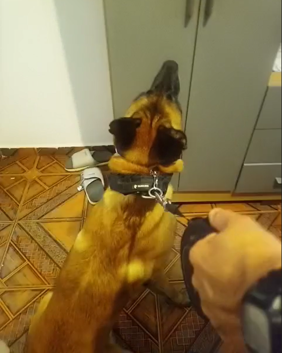 Polícia prende paraguaio com quase 2 kg de drogas em Indaiatuba