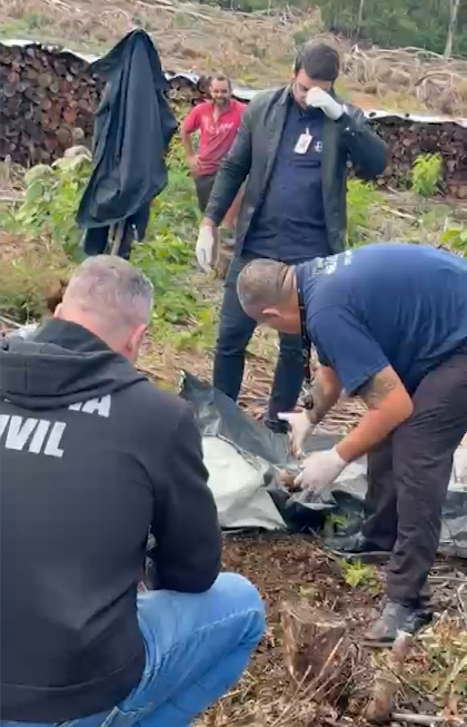 Ossada humana é encontrada por trabalhadores em área de mata