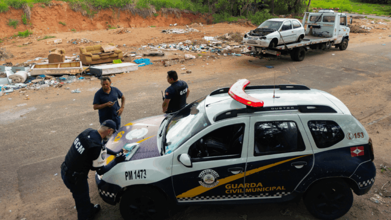 Carro é abandonado em área verde na Avenida das Oliveiras