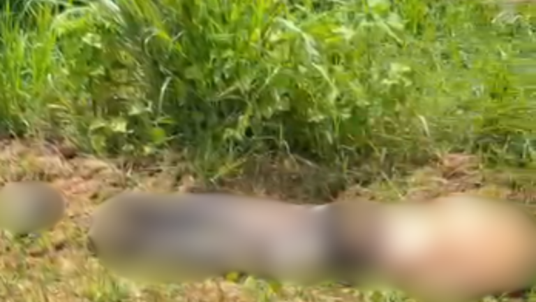 Homem de 44 anos é encontrado morto em matagal