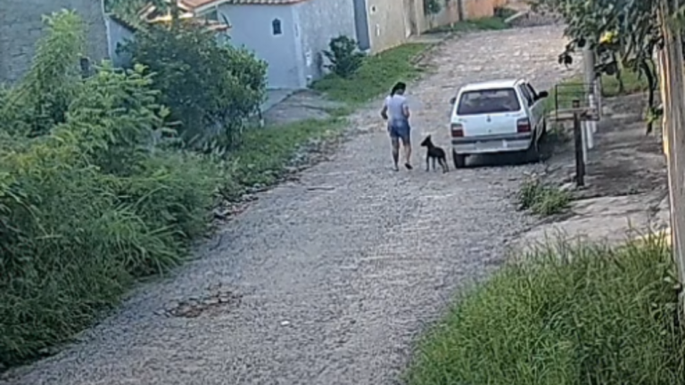 Imagens revoltantes: mais um cachorro é abandono em Campinas