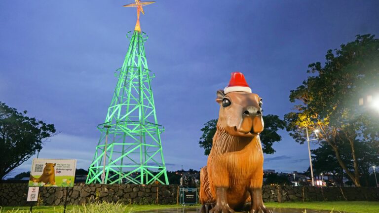Depois de 60 mil visitas, Dona Capi ‘tira férias’