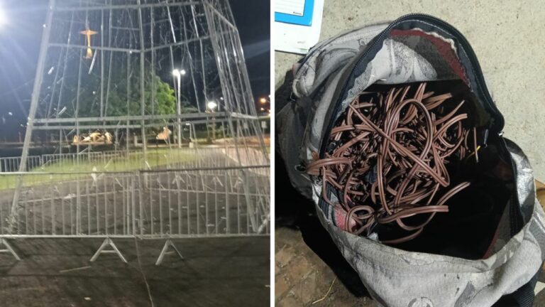 Homem é detido com 4 kg de fios furtados da decoração de Natal