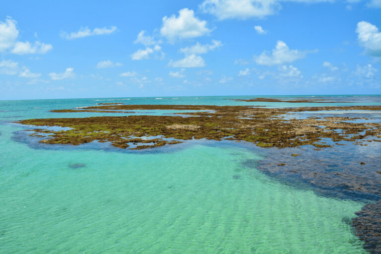 Turistas encontram crânio humano em praia de João Pessoa