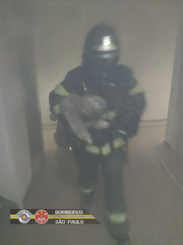 Apartamento pega fogo e dois cachorros são resgatados
