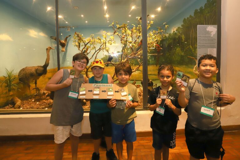 Ecoférias 2026 oferece atividades ambientais gratuitas para crianças no Bosque dos Jequitibás