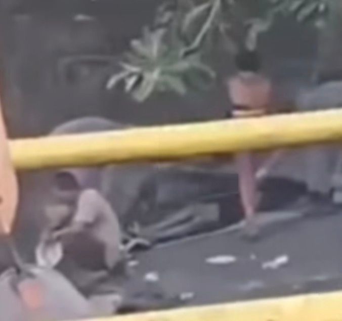 WhatsApp Image 2026-01-10 at 10.42.46