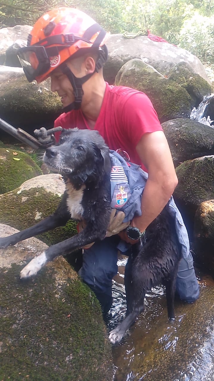 Cachorra fica presa em cachoeira em São Sebastião