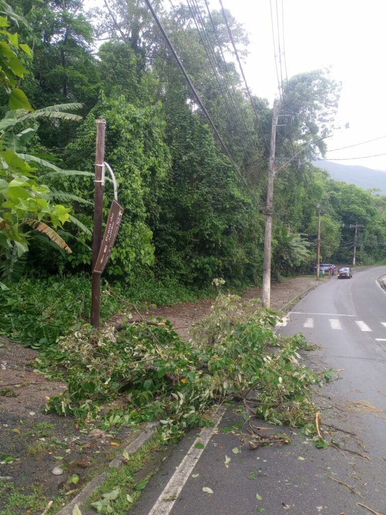 Chuvas causam alagamentos, deslizamentos e quedas de árvores na região