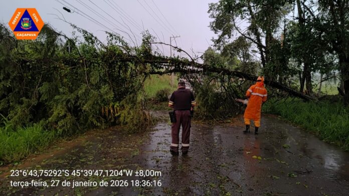 Chuva forte com rajadas de vento provoca queda de árvores em diversos bairros de Caçapava