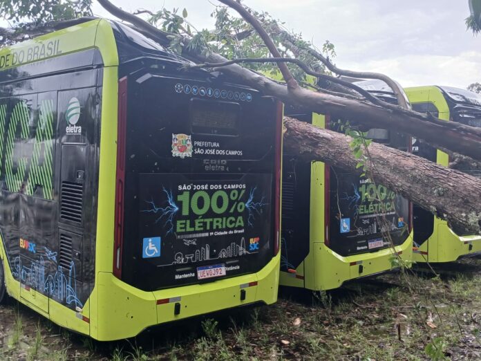 Chuva forte derruba árvores e atinge ônibus em garagem na Zona Norte de São José