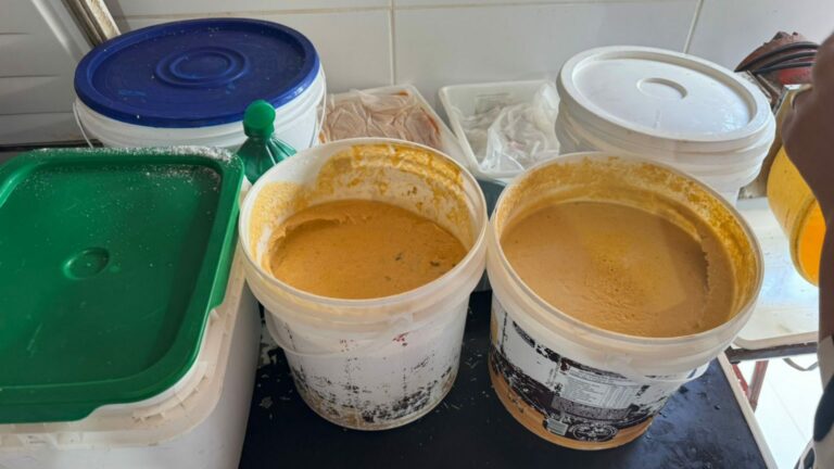 Segundo o Ministério Público, as equipes continuam em campo e o balanço final da operação será divulgado ao longo do dia