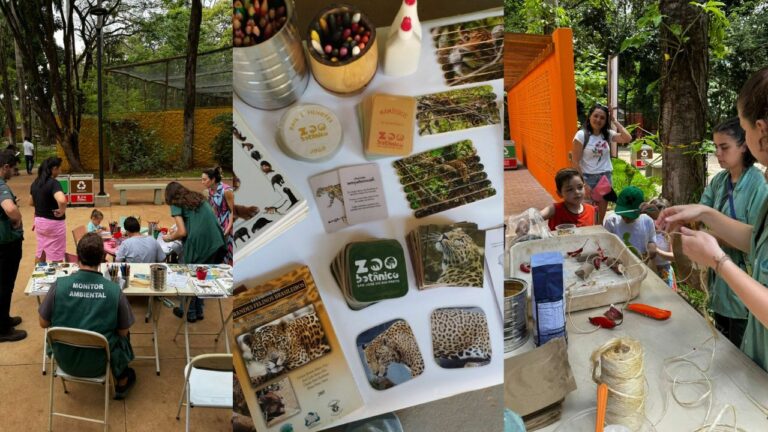 Zoobotânico realiza atividades lúdicas e educativas em janeiro