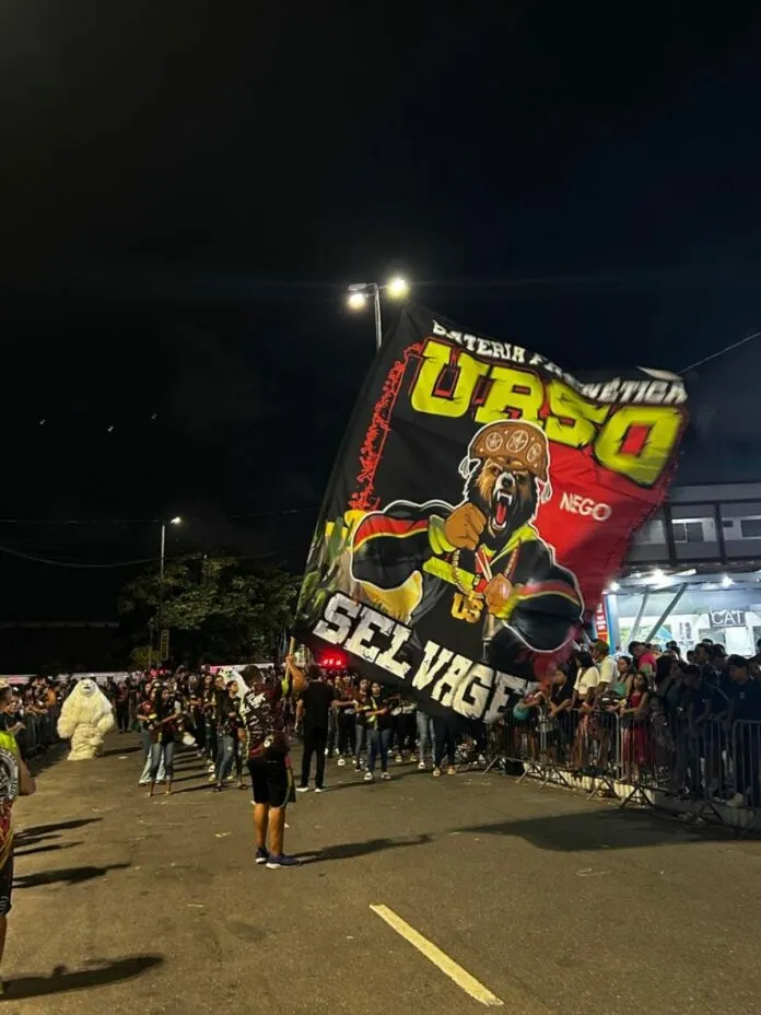 alaursa-ursoselvagem