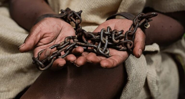 Brasil registra novo recorde de denúncias de trabalho escravo em 2025