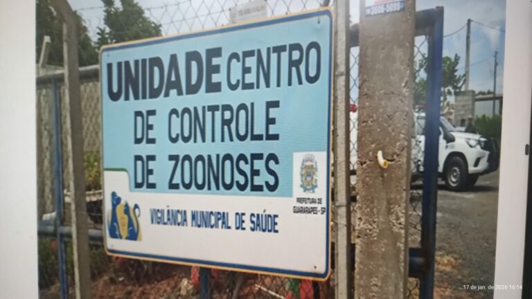 Cinco cães morrem por maus-tratos em Guararapes; mulher é multada em R$ 38 mil