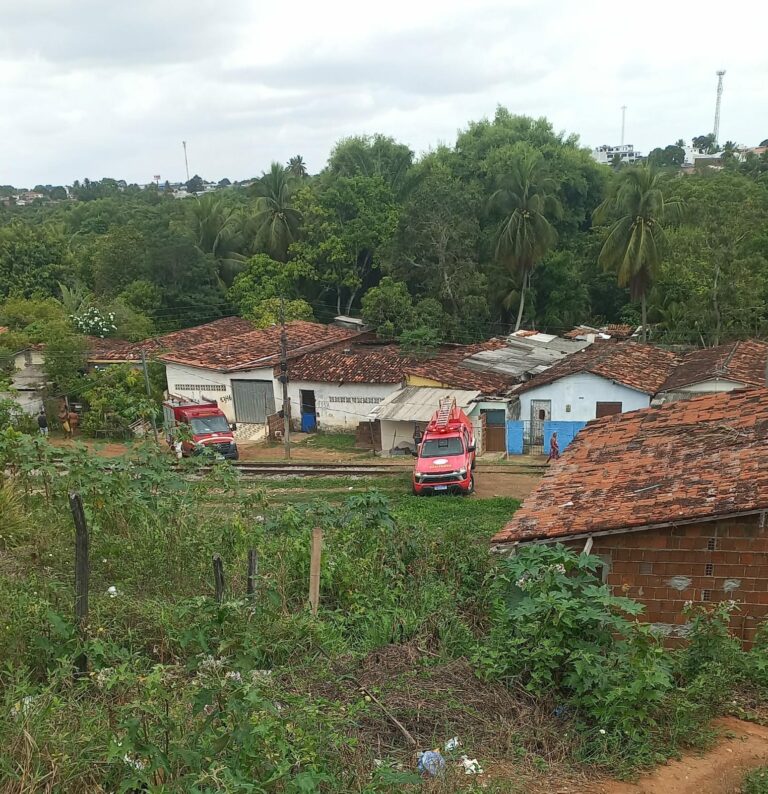 Corpo sem cabeça é encontrado em mangue de João Pessoa