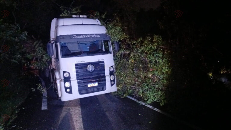 Árvore cai em cima de carreta na Rodovia Anchieta,  em Cubatão