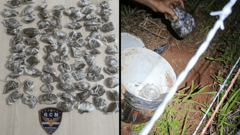 GCM apreende droga enterrada em área de pasto em Rio Preto