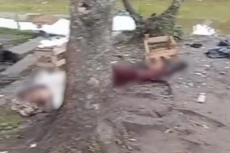 Idosa é encontrada morta em avenida de cidade do litoral