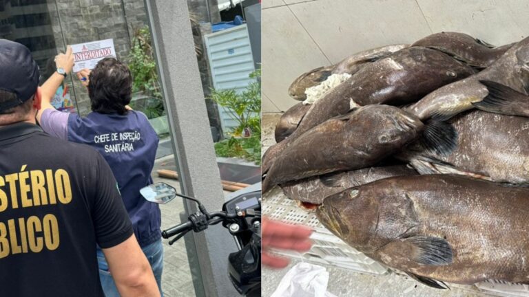 Durante a vistoria, foram encontradas irregularidades sanitárias, como produtos vencidos, avariados e armazenados de forma inadequada