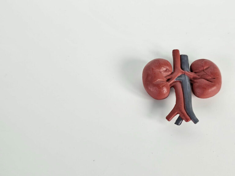 Mais de 170 mil brasileiros em diálise expõem avanço da doença renal