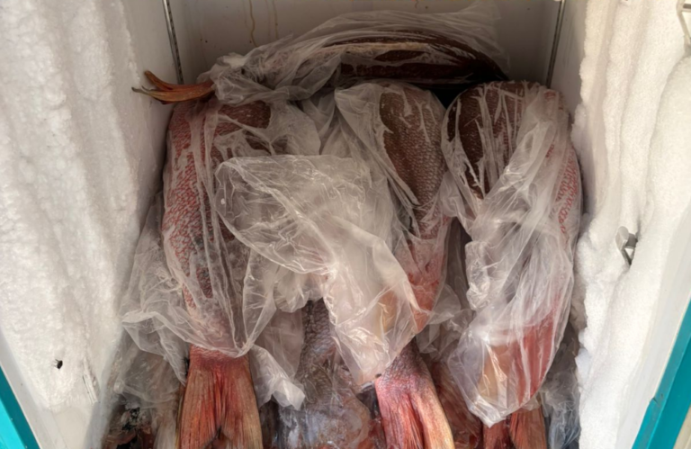 Fiscalização em praias da Paraíba resulta em interdição de bar em Conde