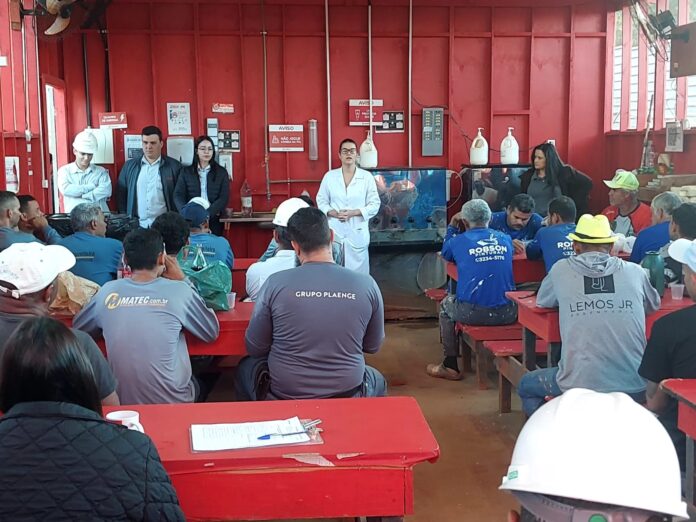 prevencao Divulgação