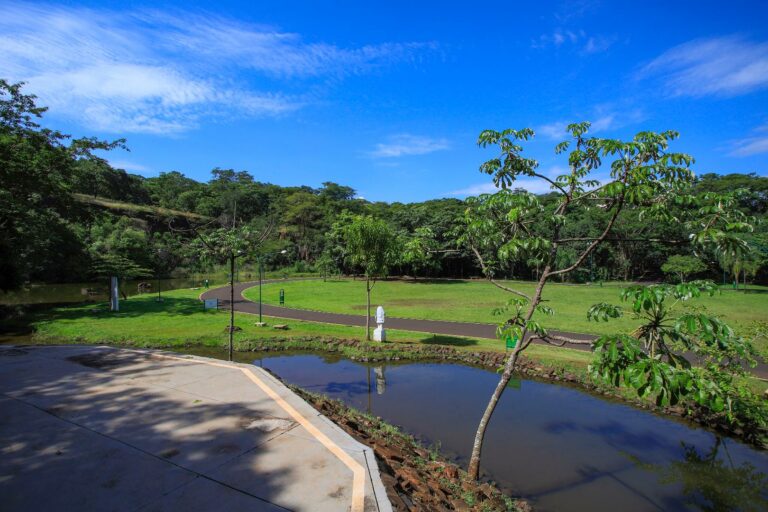 Parque Curupira está fechado para serviços de zeladoria