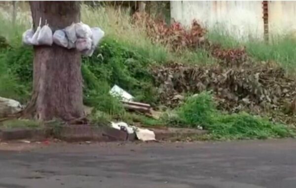 Prefeitura de Araçatuba notifica proprietários e dá prazo de 10 dias para limpeza de terrenos