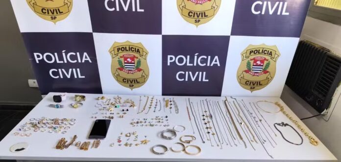 Empregada doméstica é investigada por furtar R$ 430 mil em joias de apartamentos de luxo em São José