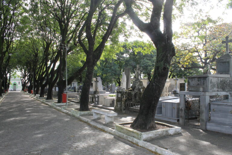 Proposta na Câmara de JP quer autorizar enterro de pets em jazigos familiares