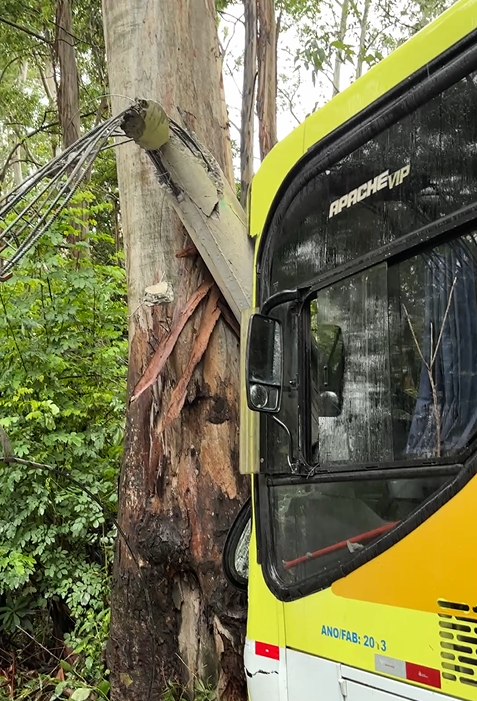 Ônibus escolar derrapa na pista molhada e atinge poste em estrada