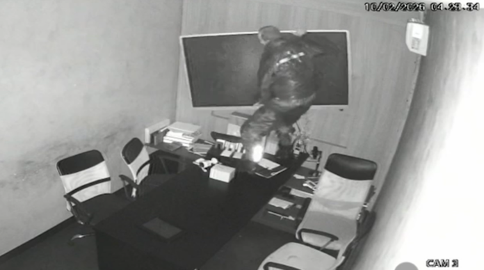 VÍDEO: Bandido invade empresa no Cambuí e leva TV gigante