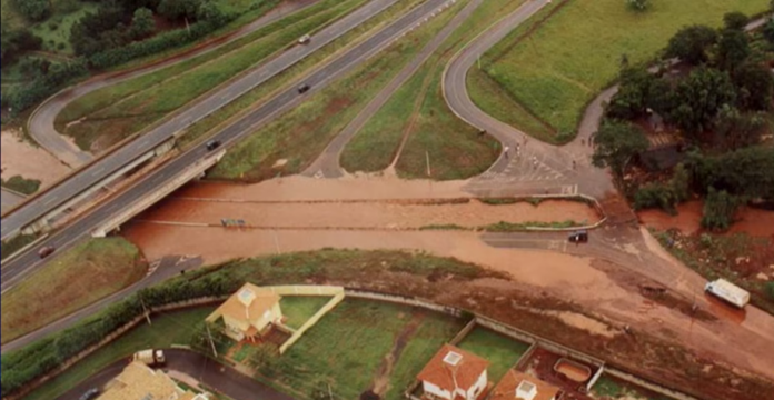 ADELMO PERDIZZA 2002