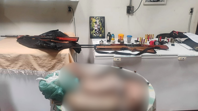 Polícia Ambiental encontra tatus, lagarto teiú e jacaré-anão congelados em freezer