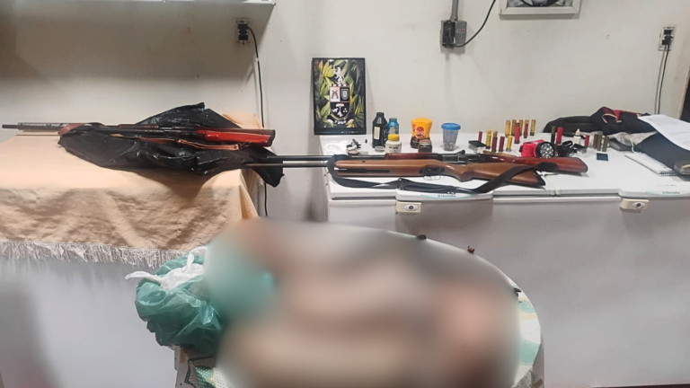 Polícia Ambiental encontra tatus, lagarto teiú e jacaré-anão congelados em freezer