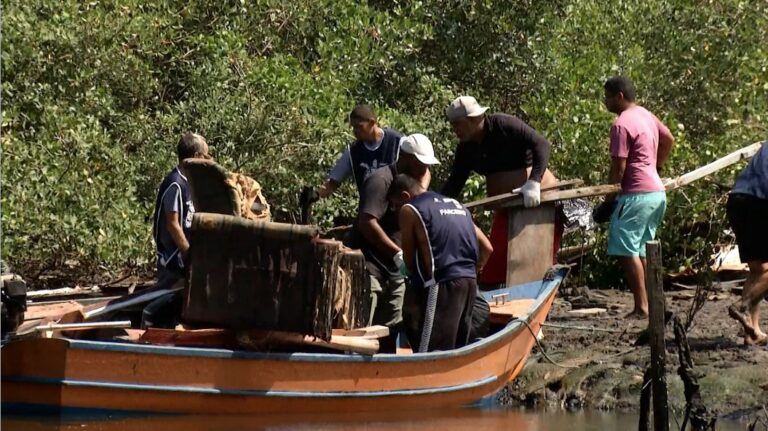 Guarujá realiza mutirão de limpeza de manguezais
