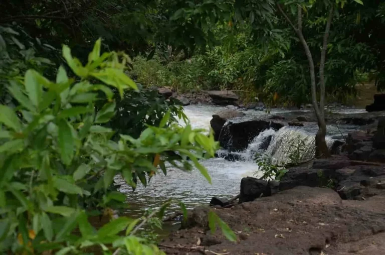 Parques de Araçatuba são opção de lazer durante o Carnaval