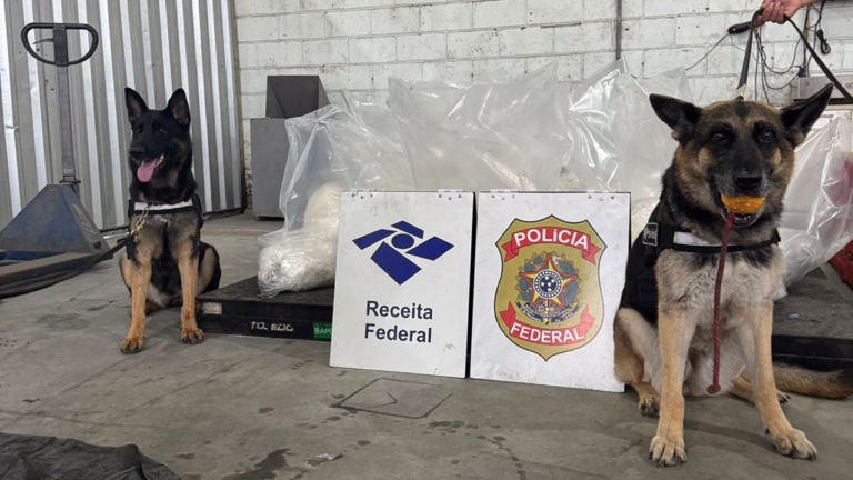 Receita Federal apreende 240 kg de cocaína em carga de óleo de soja no Porto de Santos