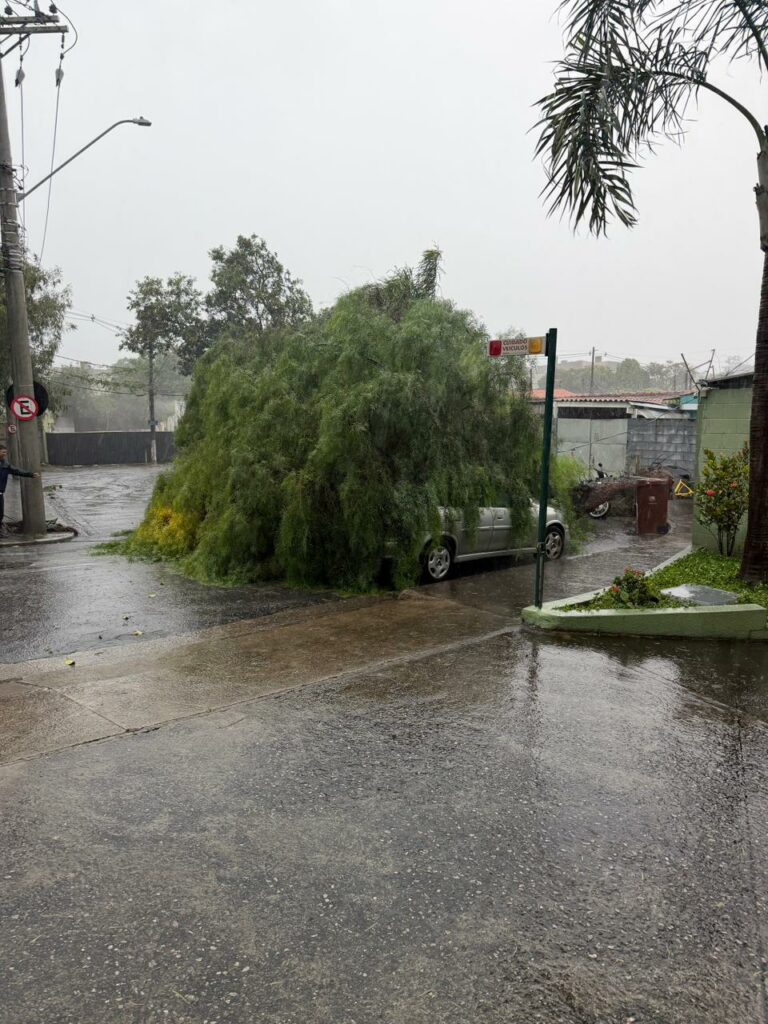 Chuva com ventos de até 125 km/h derruba árvores e causa estragos no Vale