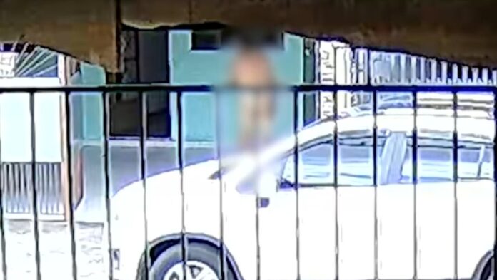 Homem pelado preocupa moradores da Zona Sul em São José Homem pelado preocupa moradores da Zona Sul em São José