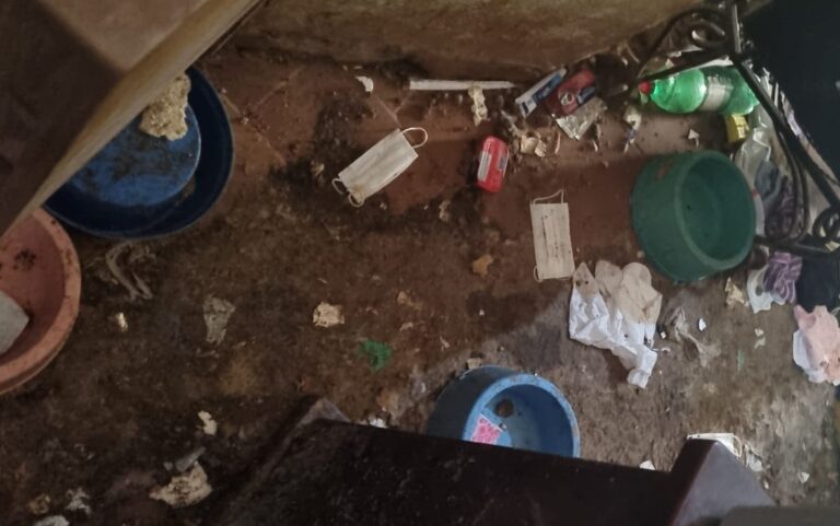 Cães são resgatados em estado de abandono dias após tutora ser internada no HC