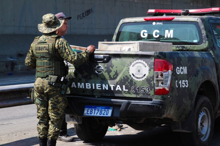 Rottweiler é encontrado morto com sinais de asfixia mecânica em São Vicente