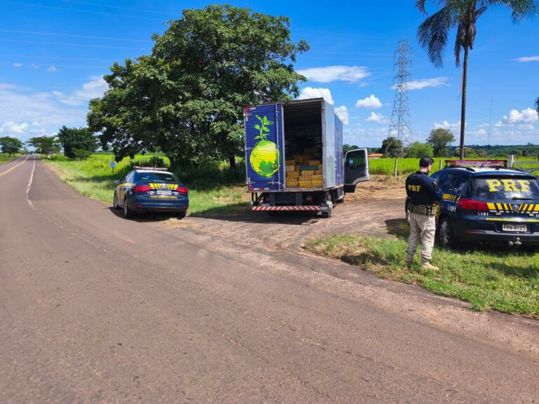 PRF apreende mais de 2,8 mil tabletes de maconha escondidos em carga de erva-mate na BR-153