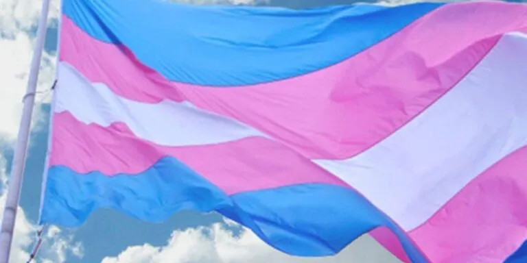 Vereadora propõe vagas exclusivas para trans em faculdades privadas de Ribeirão Preto