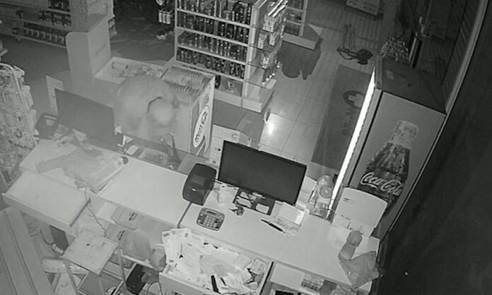 VÍDEO: Farmácia de Potim é alvo de furto e prejuízo chega a R$ 30 mil