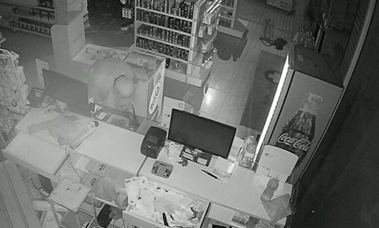 VÍDEO: Farmácia de Potim é alvo de furto e prejuízo chega a R$ 30 mil