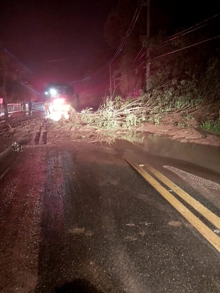 Ilhabela registra 11 desalojados e fecha estrada após fortes chuvas